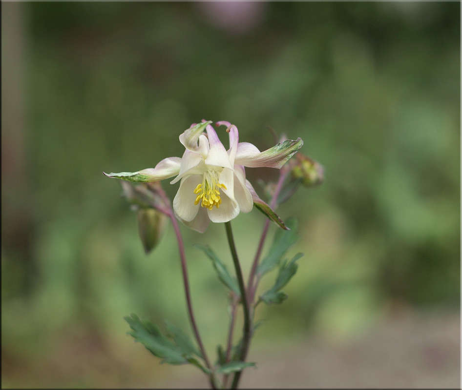 �������� �������� ����� ������  �� PhotoGeek.ru #������ ��� �������