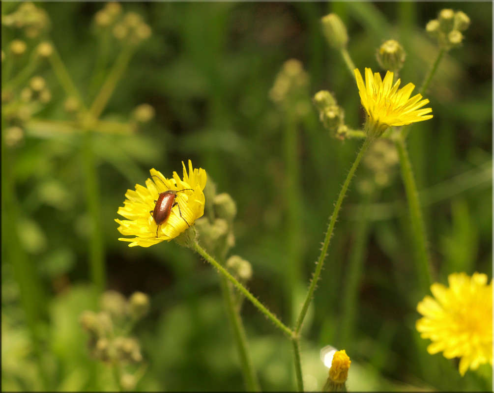 ����� 2 ����� ������  �� PhotoGeek.ru #������ ��� �������