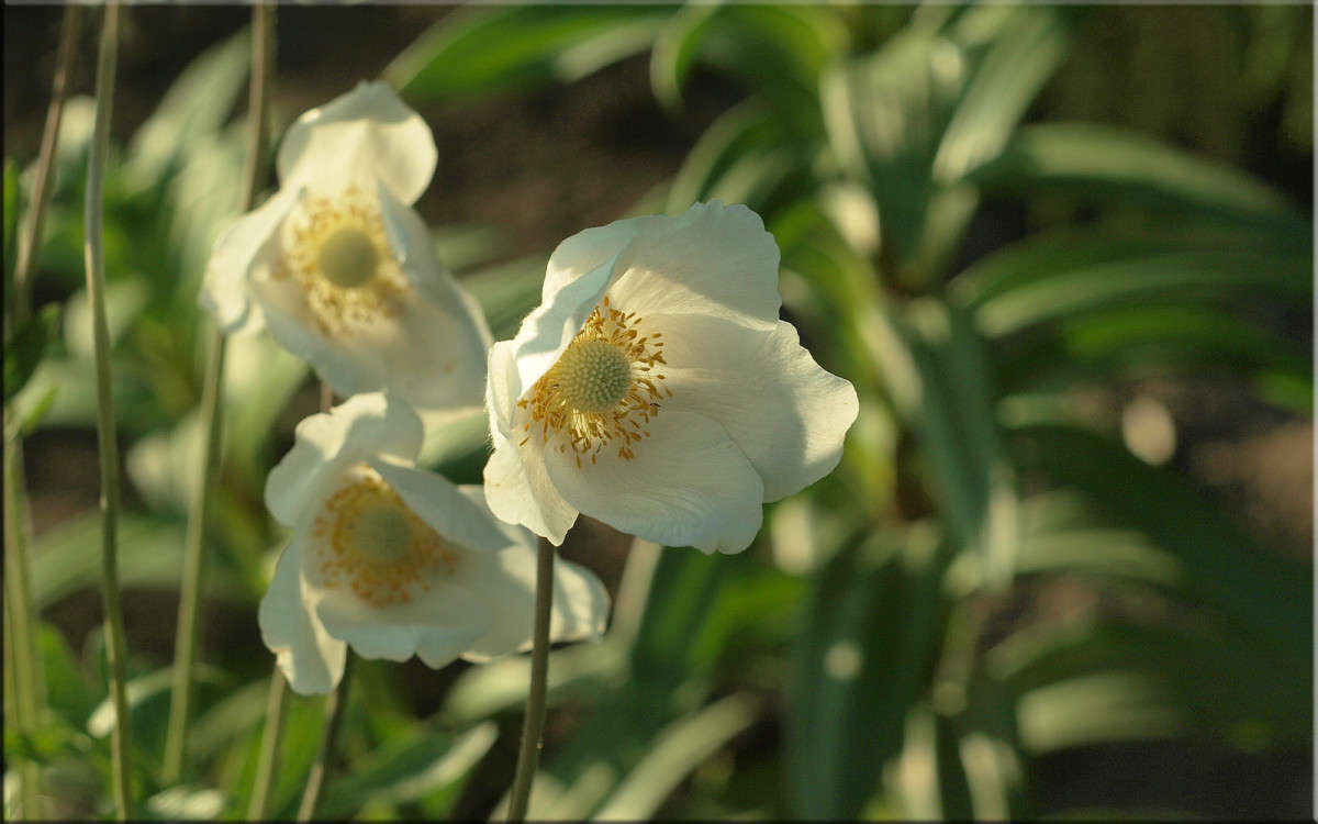 ����� ����� ������  �� PhotoGeek.ru #������ ��� �������