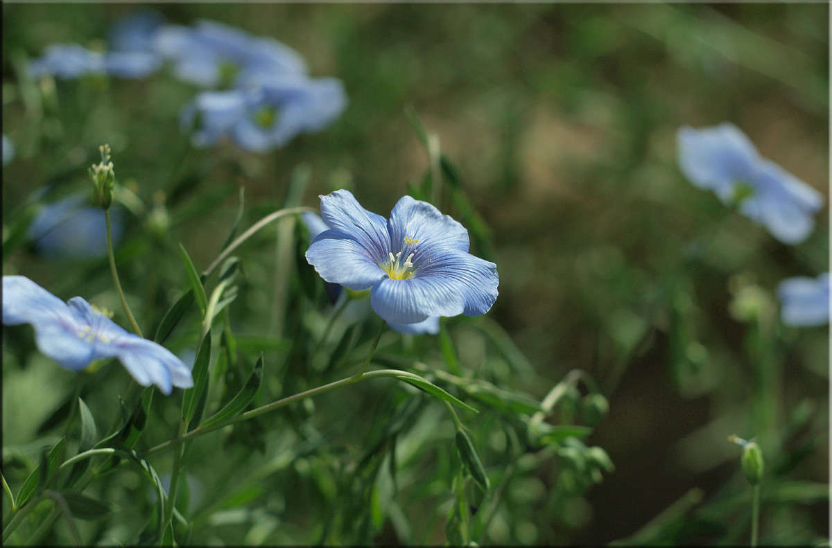 ������� ����� ������  �� PhotoGeek.ru #������ ��� �������