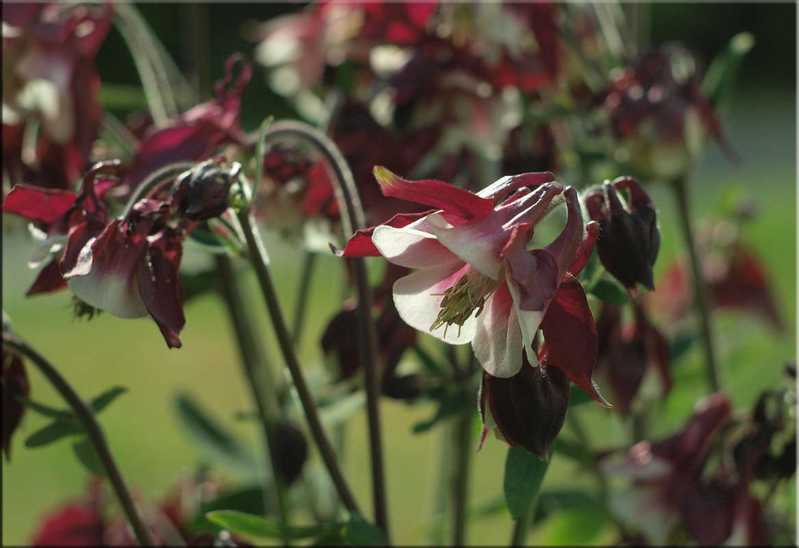 ������� ����� ������  �� PhotoGeek.ru #������ ��� �������