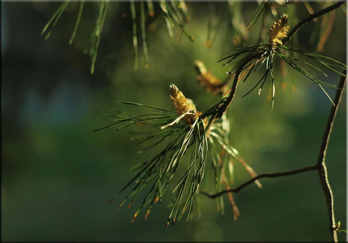 ������� ����� ����� ������  �� PhotoGeek.ru #������ ��� �������