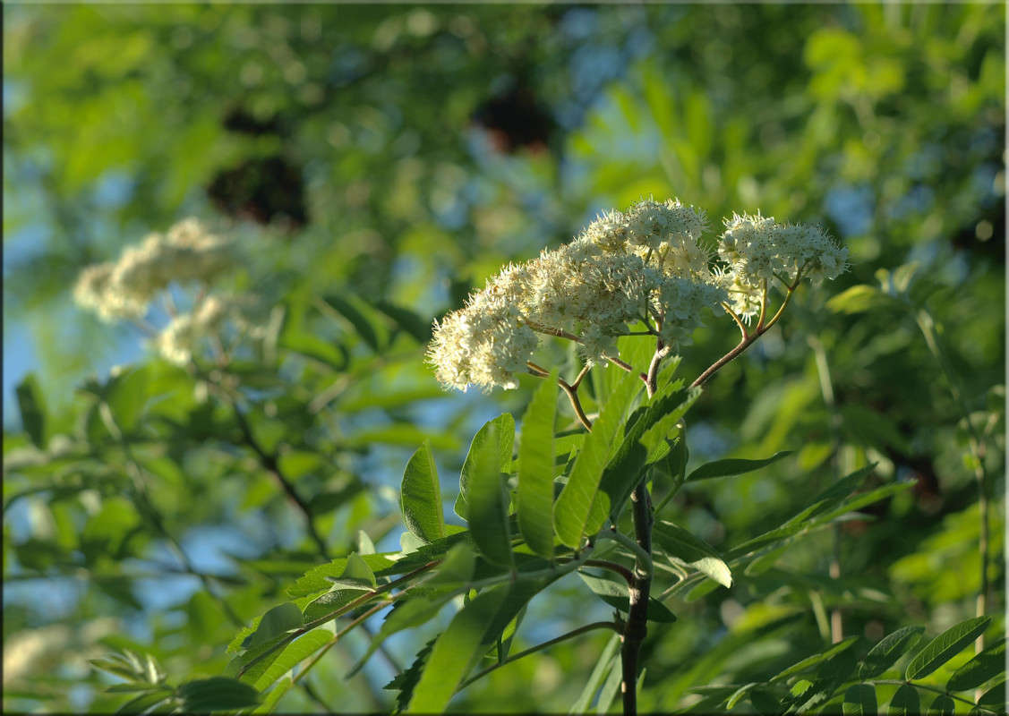 �� ����� ����� ������  �� PhotoGeek.ru #������ ��� �������