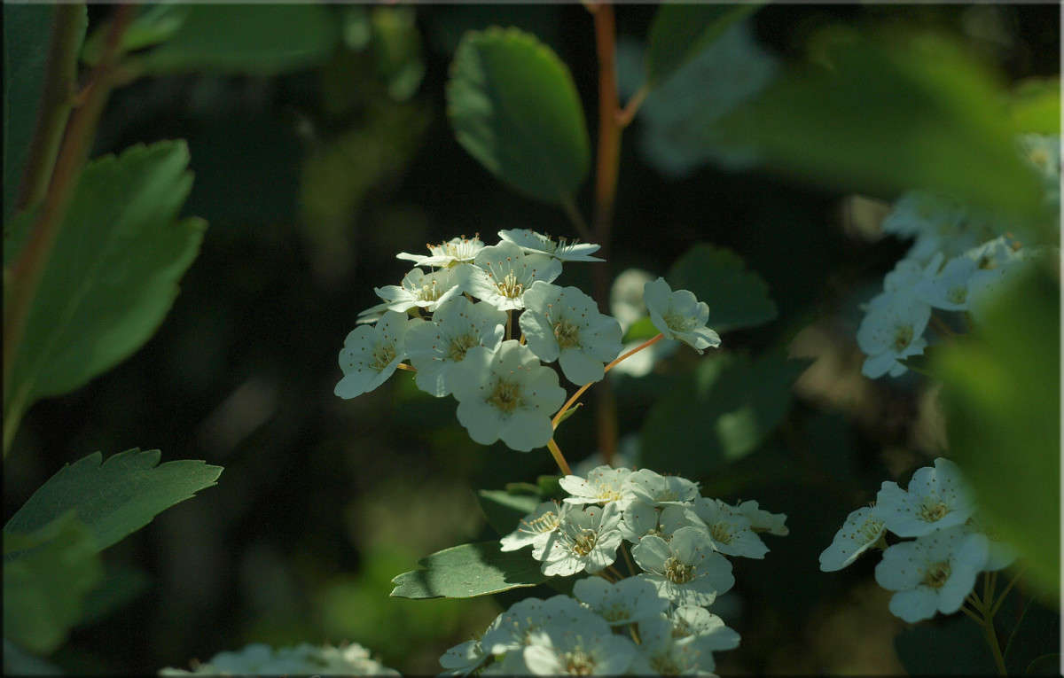 ��������� ������� ����� ������  �� PhotoGeek.ru #������ ��� �������