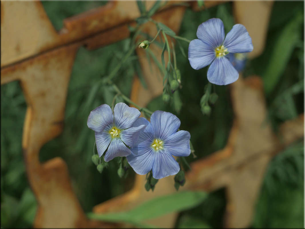 ������� ����� �������� ����� ������  �� PhotoGeek.ru #������ ��� �������