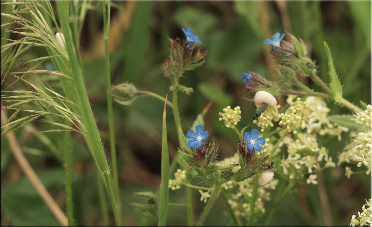 ��������, ����� � ������ ����� ������  �� PhotoGeek.ru #������ ��� �������