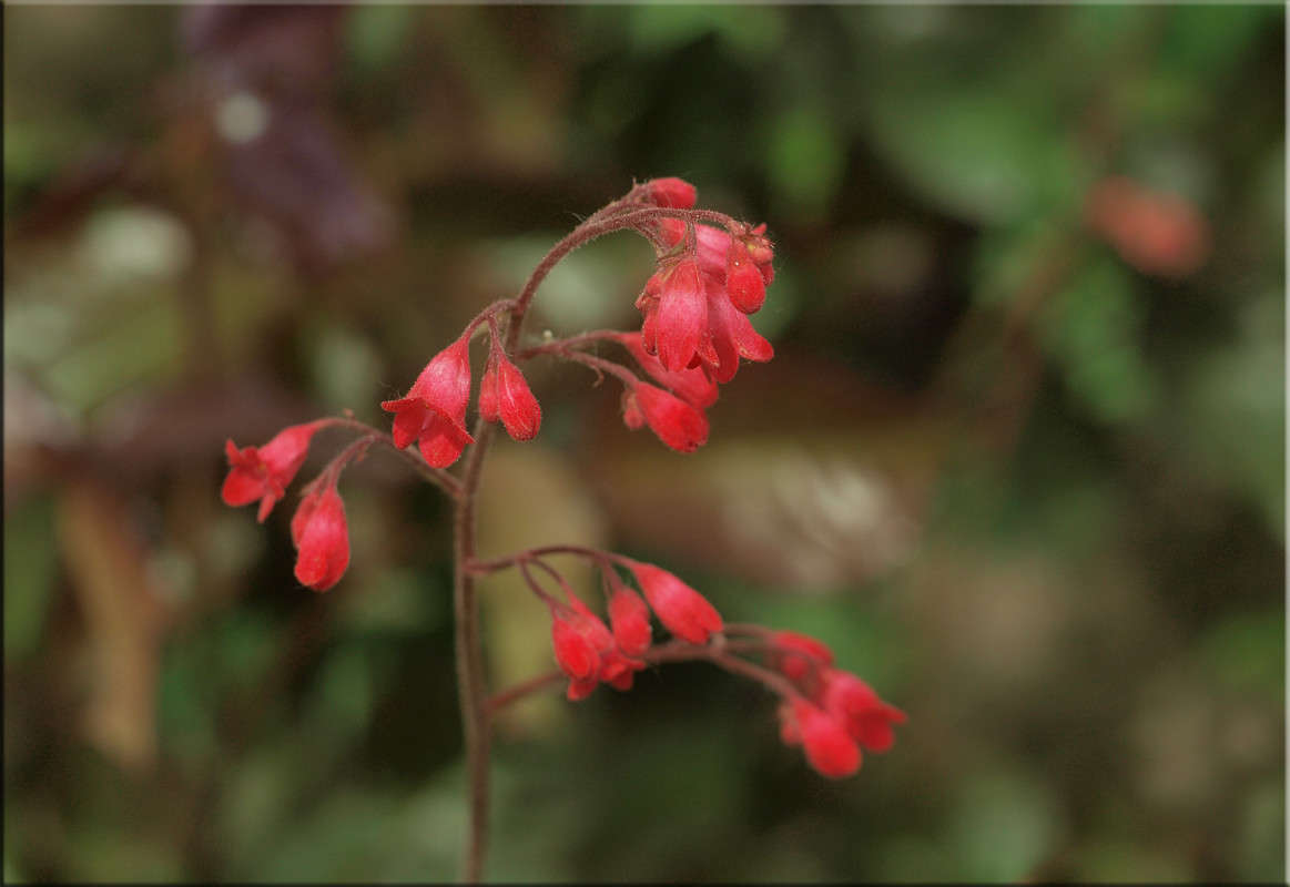 ������������ ������� ����� ������  �� PhotoGeek.ru #������ ��� �������