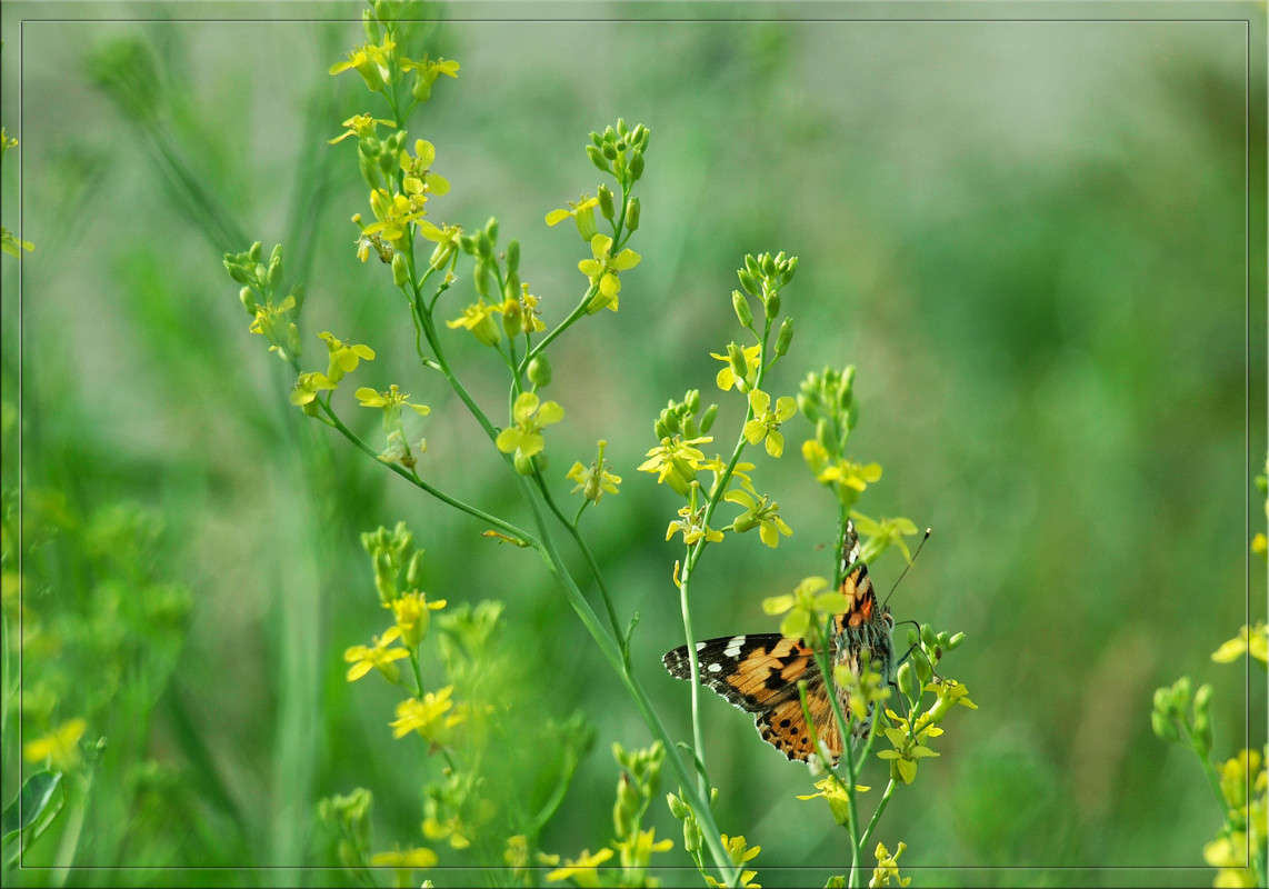 �� ������� ����� ������  �� PhotoGeek.ru #������ ��� �������