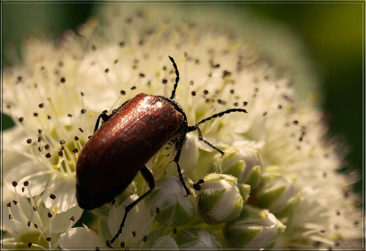 ���� ����� ������  �� PhotoGeek.ru #�����