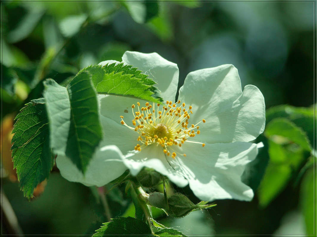 ��������� �������� ����� ������  �� PhotoGeek.ru #������ ��� �������