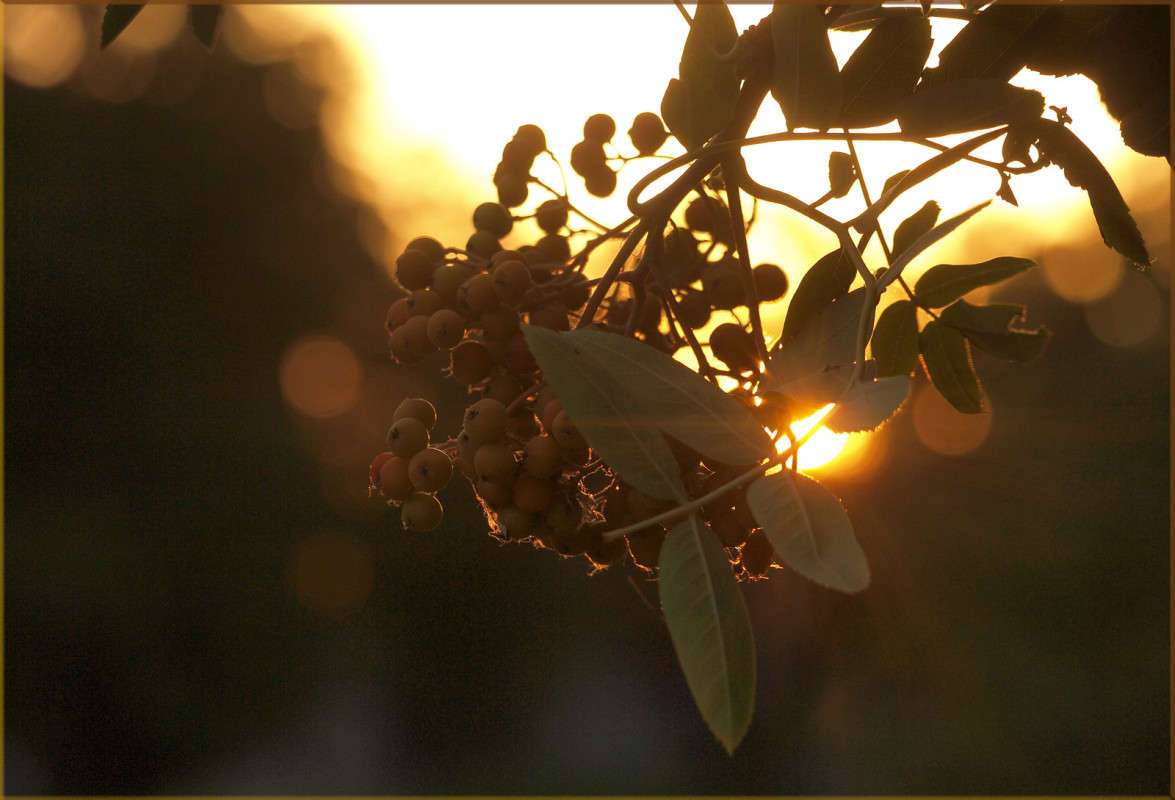 �������� ����� ������  �� PhotoGeek.ru #������ ��� �������