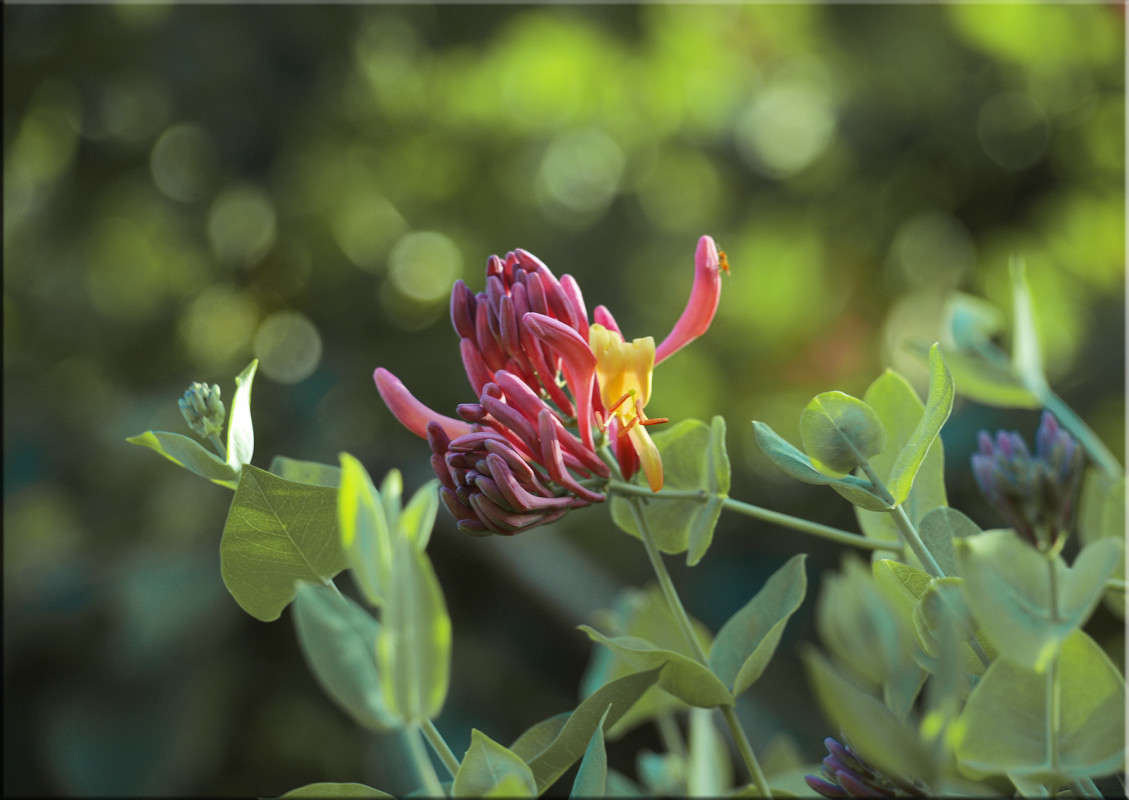 ����� ������ ����� ������  �� PhotoGeek.ru #������ ��� �������