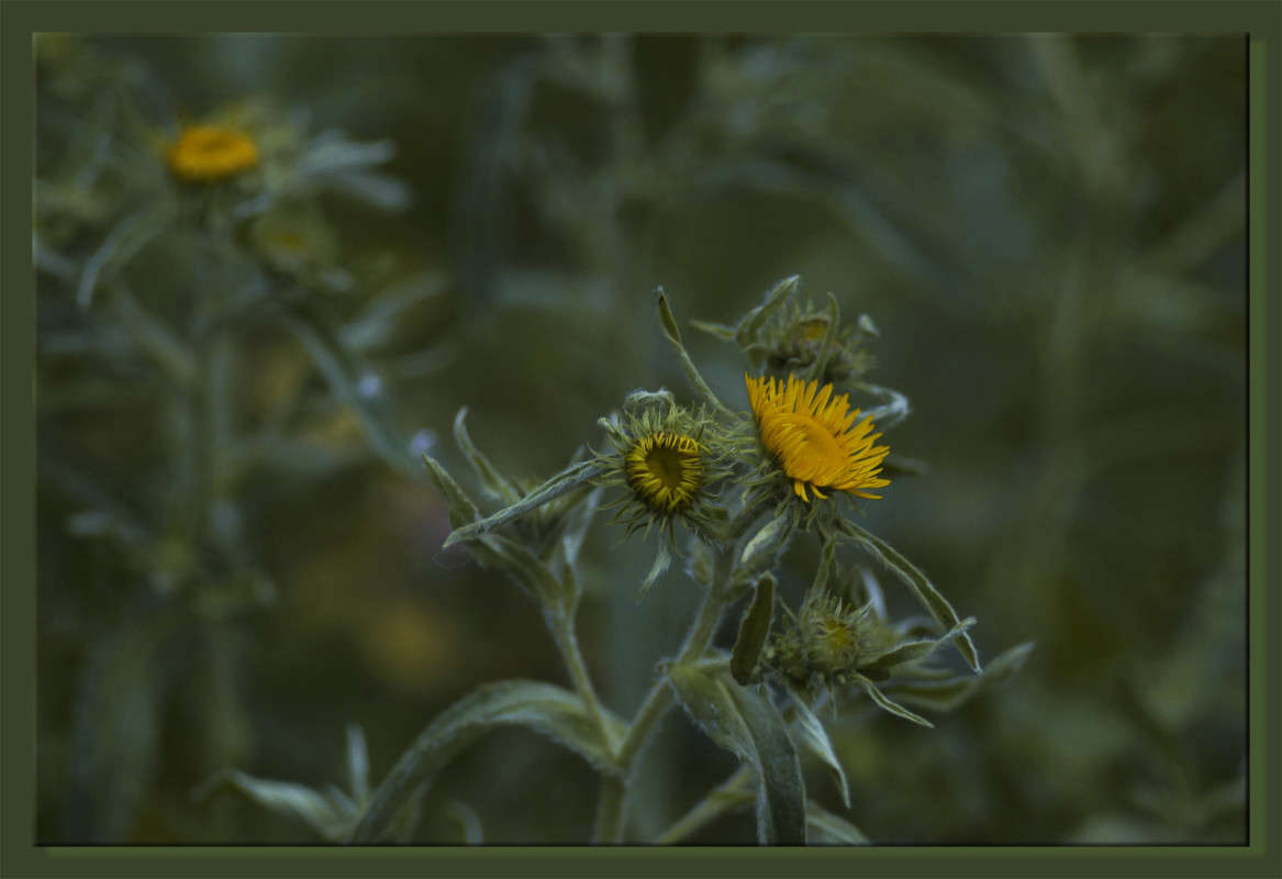 � "�������� 37�" ����� ������  �� PhotoGeek.ru #������ ��� �������