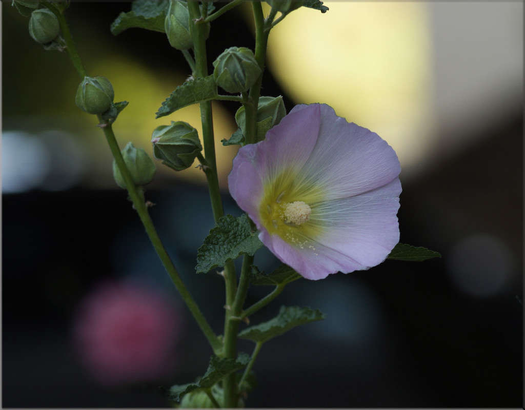 �� ������ 12 ����� ������  �� PhotoGeek.ru #������ ��� �������