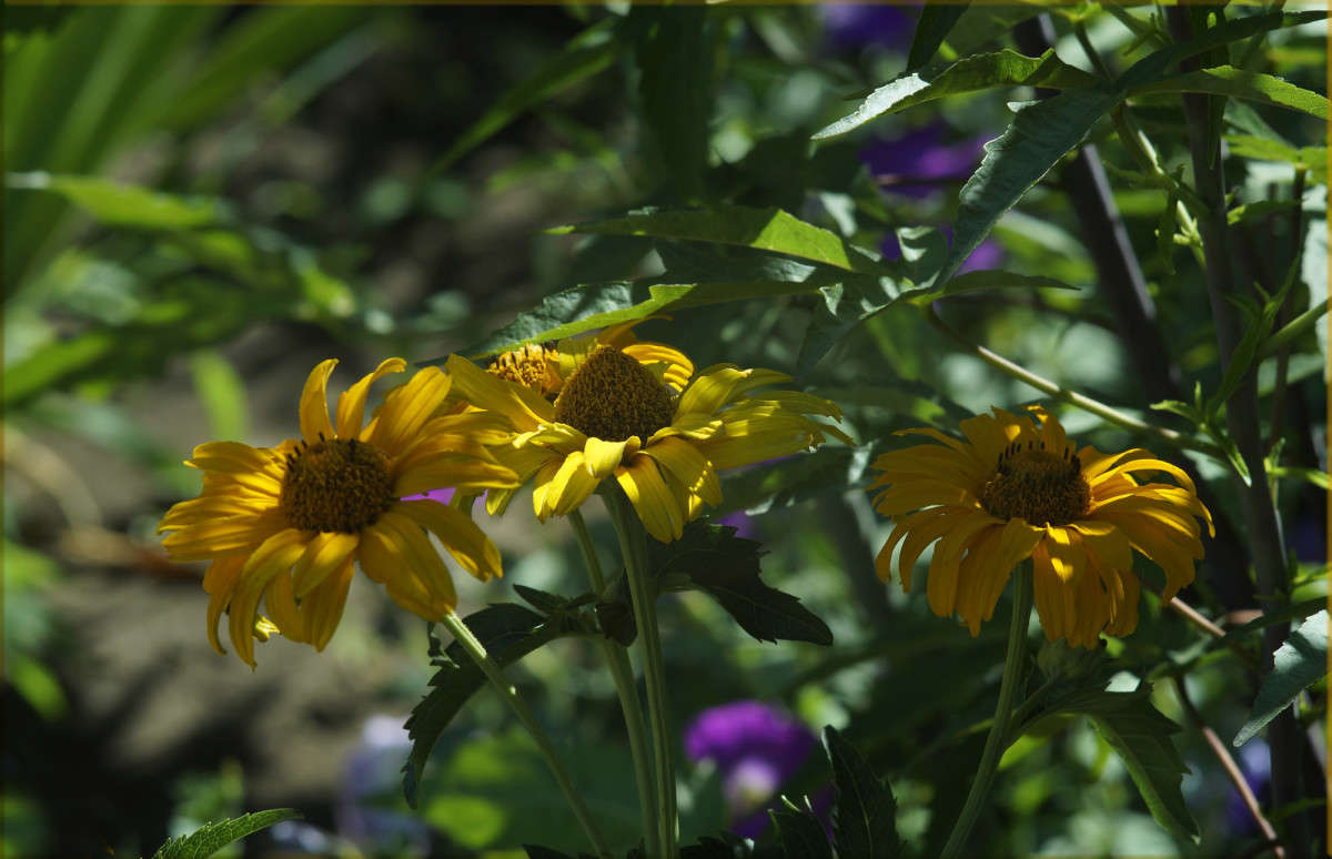 �� ������ 13 ����� ������  �� PhotoGeek.ru #������ ��� �������