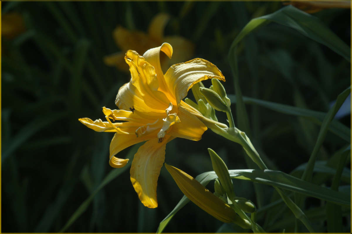 �� ������ 13 ����� ������  �� PhotoGeek.ru #������ ��� �������