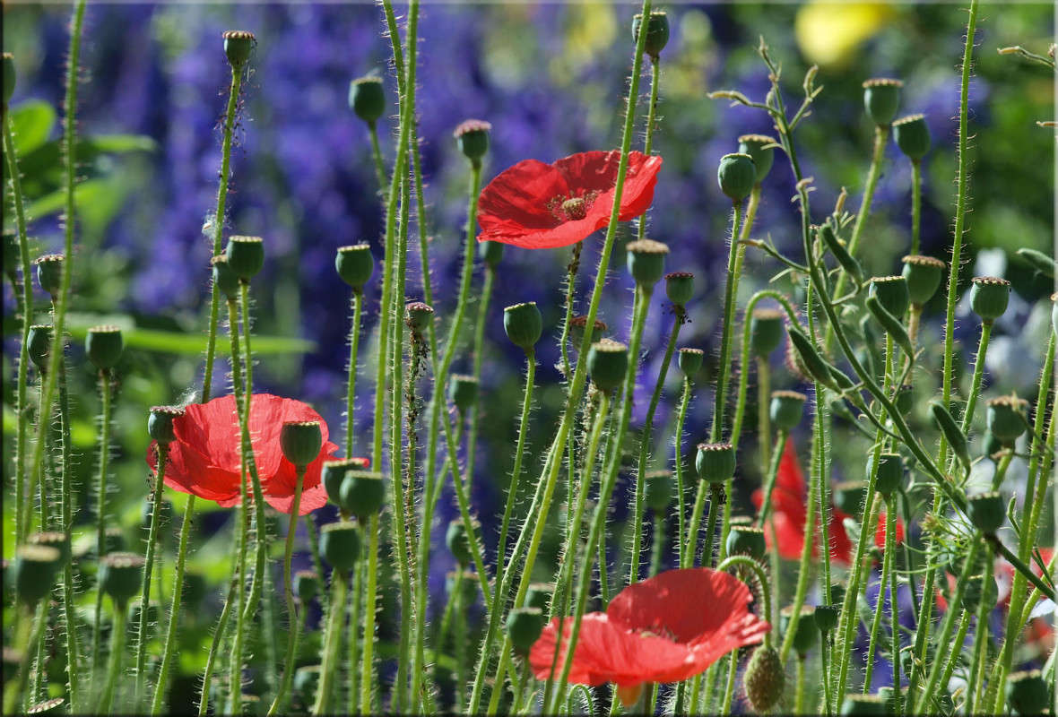 ������������� ������ 2 ����� ������  �� PhotoGeek.ru #������ ��� �������