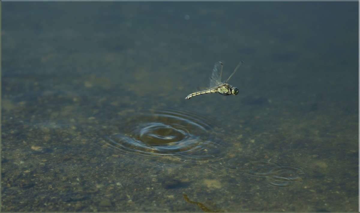 ��� ����� ����� ������  �� PhotoGeek.ru #�������� ���