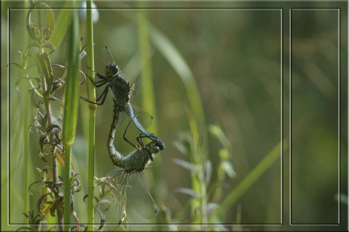 � ����� ��� ������? ����� ������  �� PhotoGeek.ru #�������� ���