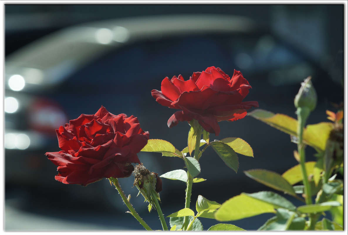 ��� � ����� 18 ����� ������  �� PhotoGeek.ru #������ ��� �������