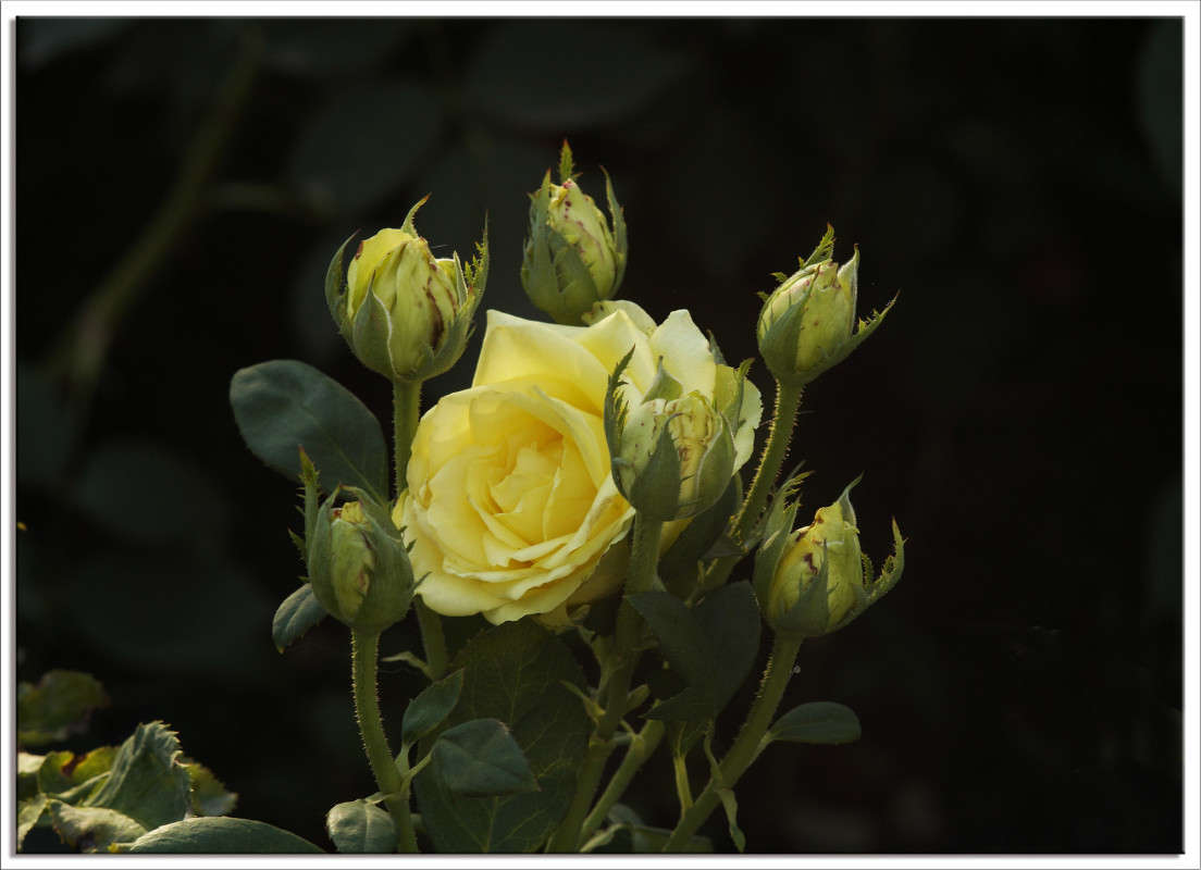 ��� � ����� 19 ����� ������  �� PhotoGeek.ru #������ ��� �������