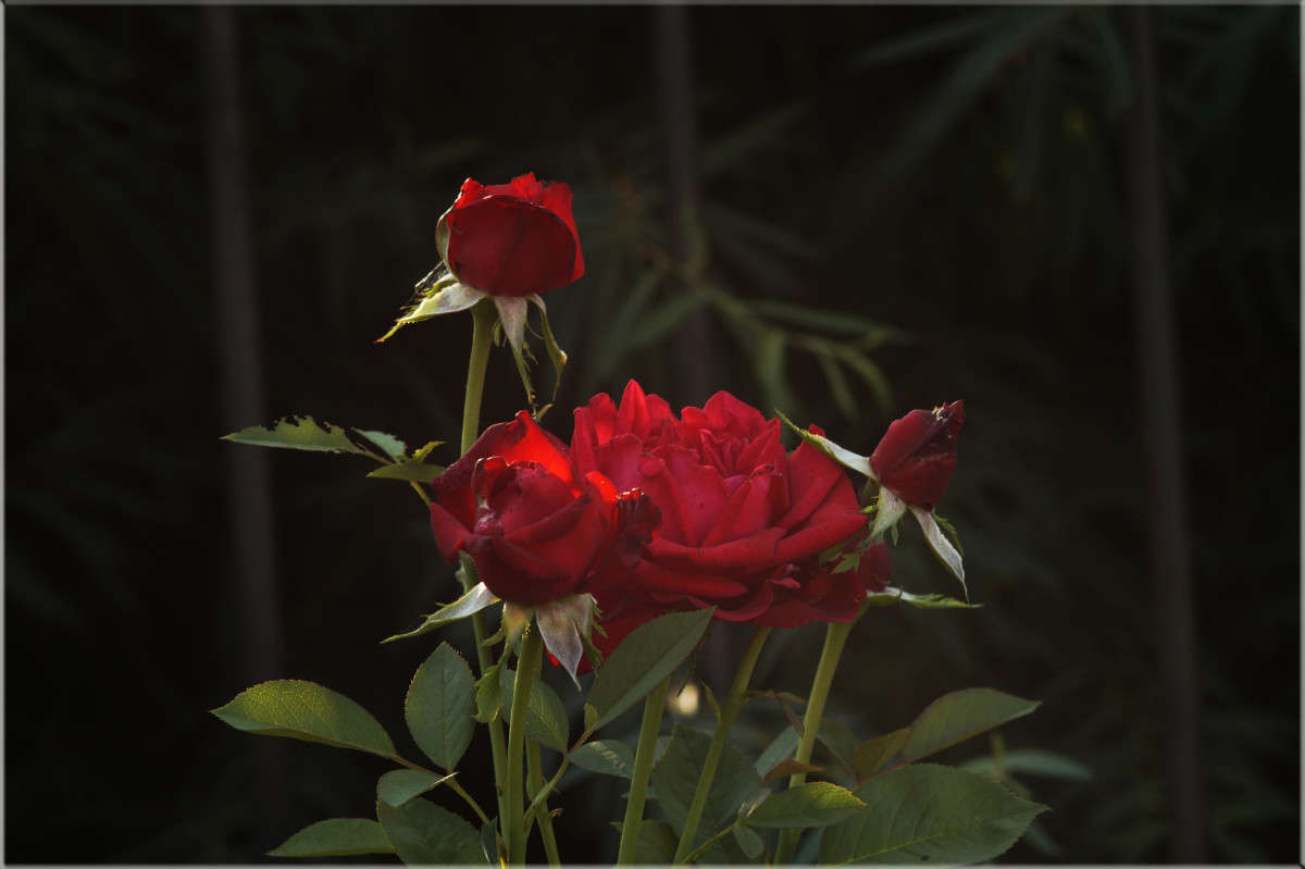 ��� � ����� 20 ����� ������  �� PhotoGeek.ru #������ ��� �������