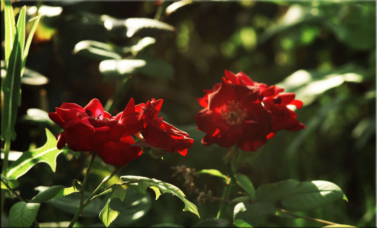 ��� � ����� 21 ����� ������  �� PhotoGeek.ru #������ ��� �������