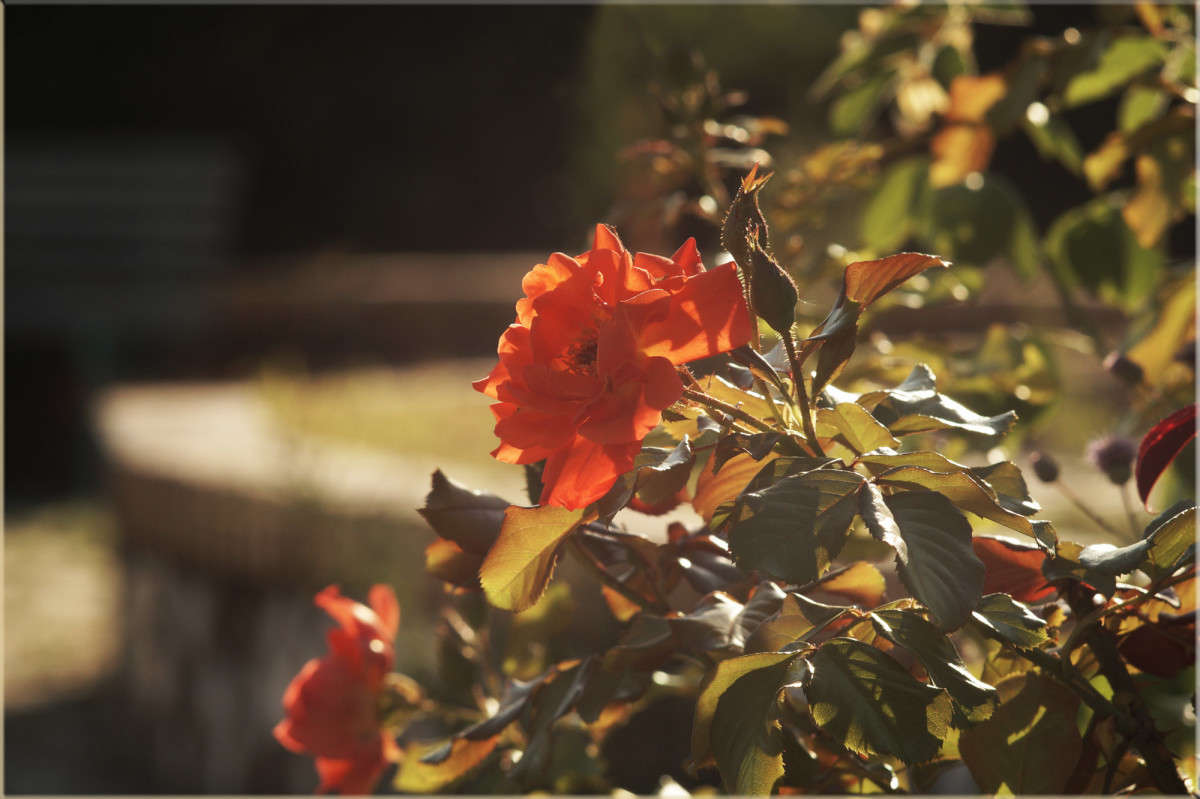 ��� � ����� 22 ����� ������  �� PhotoGeek.ru #������ ��� �������