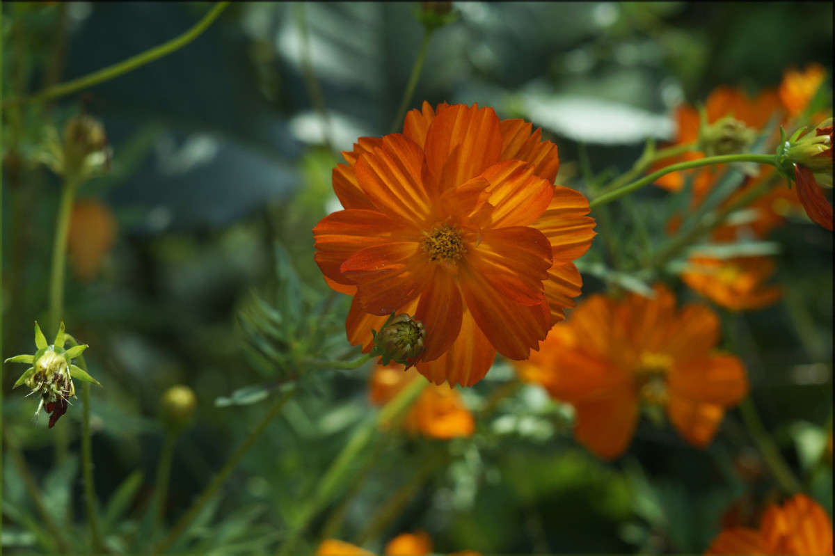 ��� ����� ����� ������  �� PhotoGeek.ru #������ ��� �������