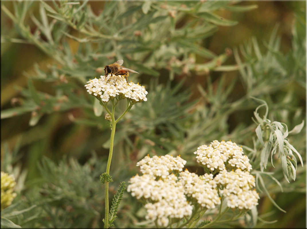 ����������� �������� 2 ����� ������  �� PhotoGeek.ru #������ ��� �������