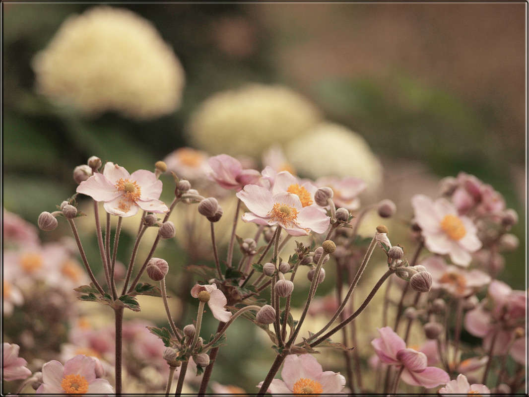 ���������� ����� ������  �� PhotoGeek.ru #������ ��� �������