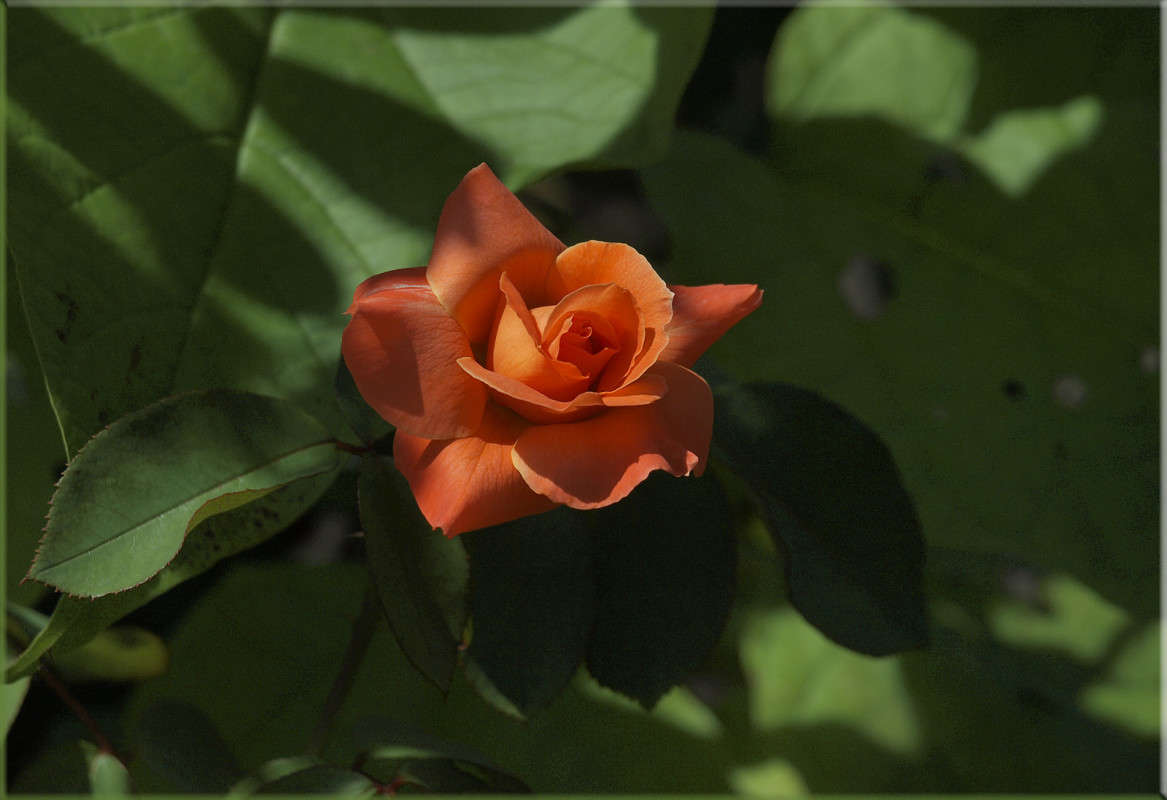 ���������� ����� ������  �� PhotoGeek.ru #������ ��� �������