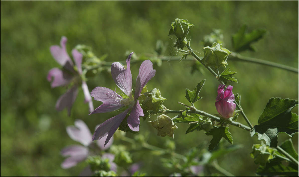 ������ ������ �������� ����� ������  �� PhotoGeek.ru #������ ��� �������