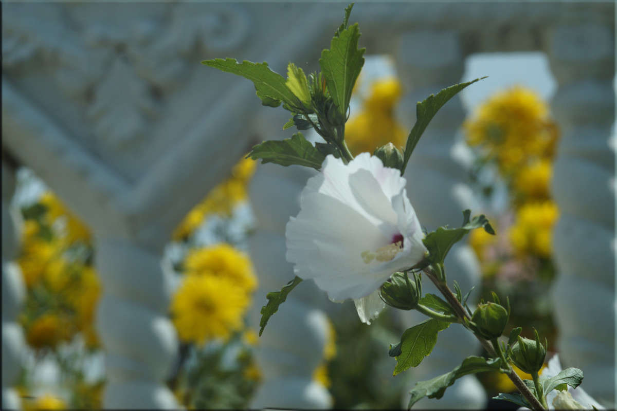 � ������ ����� ������  �� PhotoGeek.ru #������ ��� �������