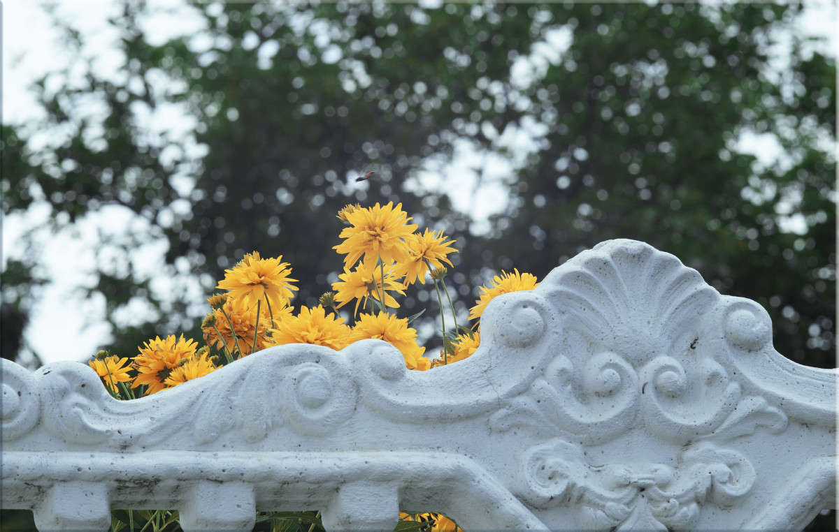 ��������� �� ������ ����� ������  �� PhotoGeek.ru #������ ��� �������