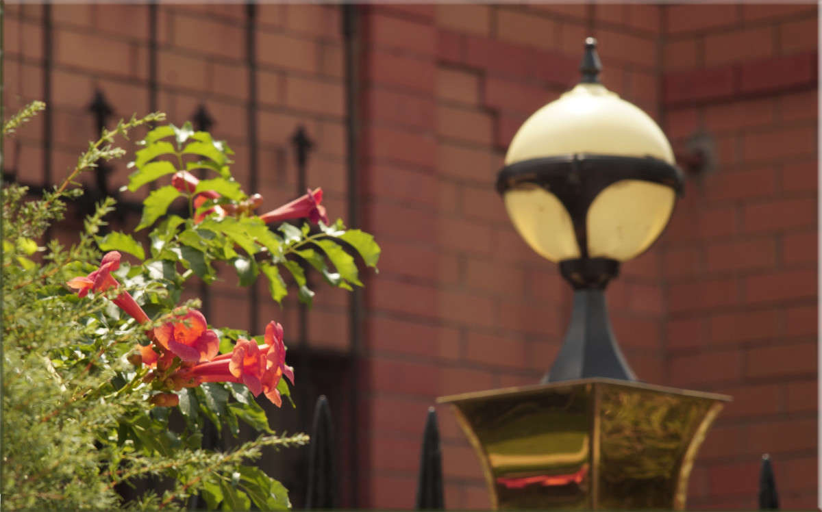 "������� � ������" ����� ������  �� PhotoGeek.ru #������ ��� �������