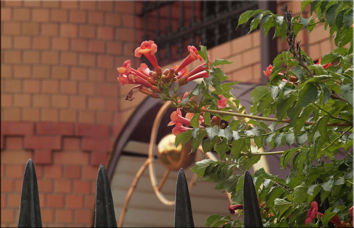 ������� ����� ������  �� PhotoGeek.ru #������ ��� �������