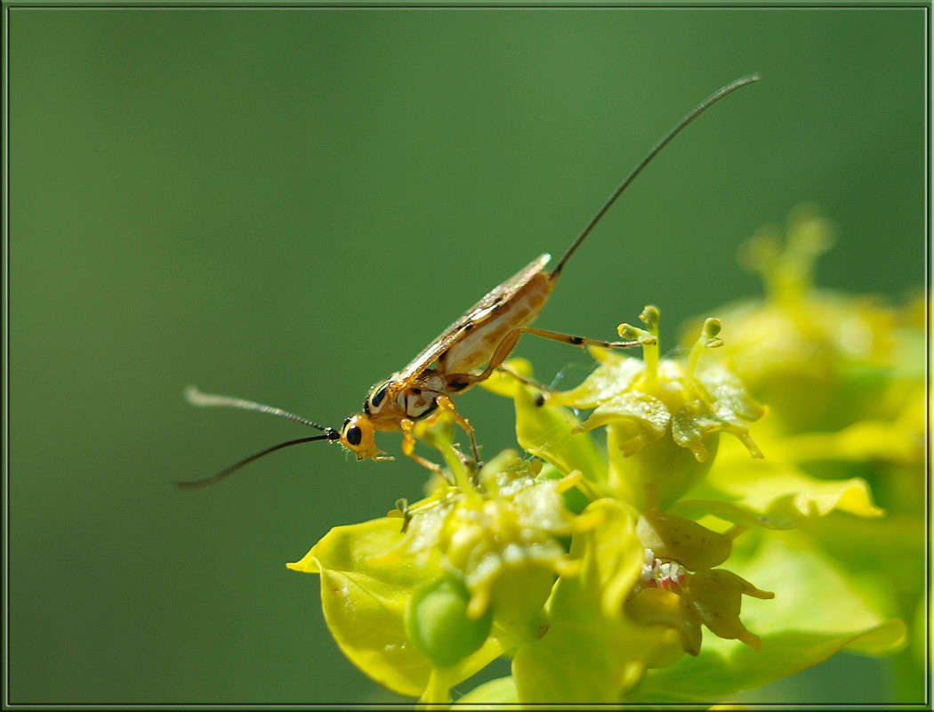 ��������� ����� ������  �� PhotoGeek.ru #�����