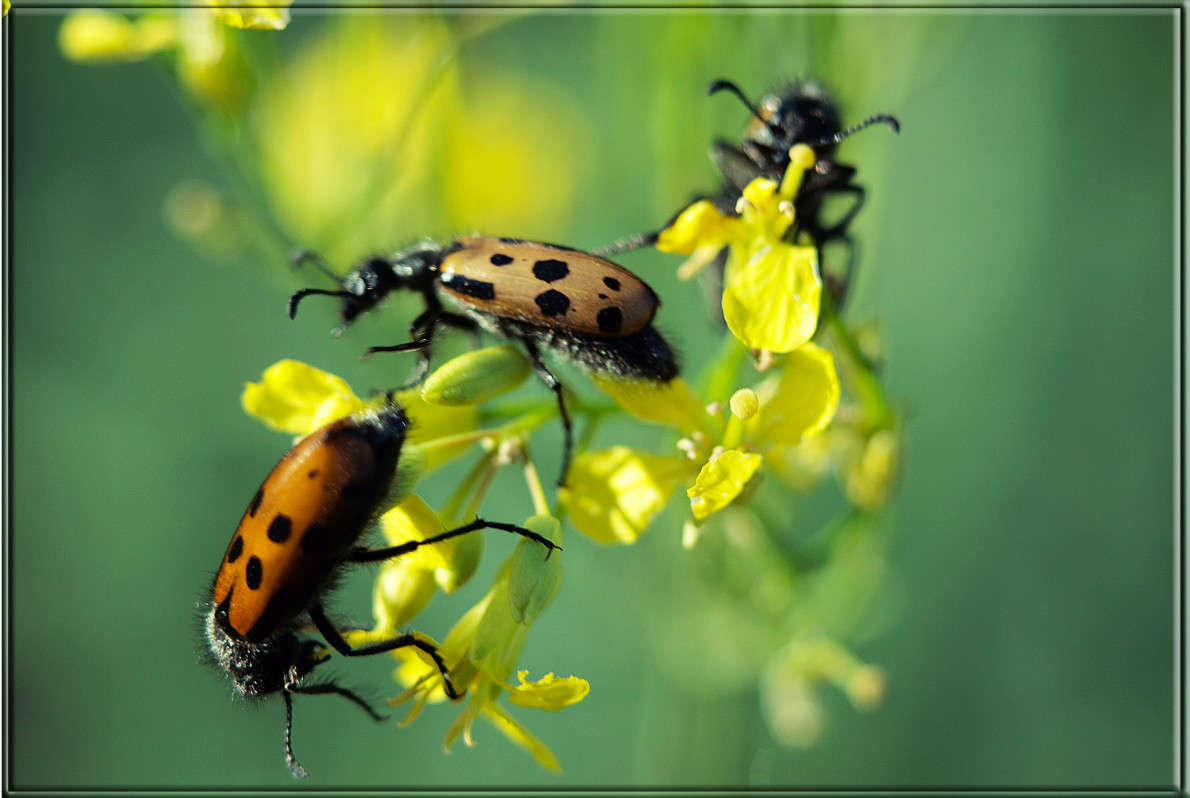 ���������� �� ����� ����� ������  �� PhotoGeek.ru #�����