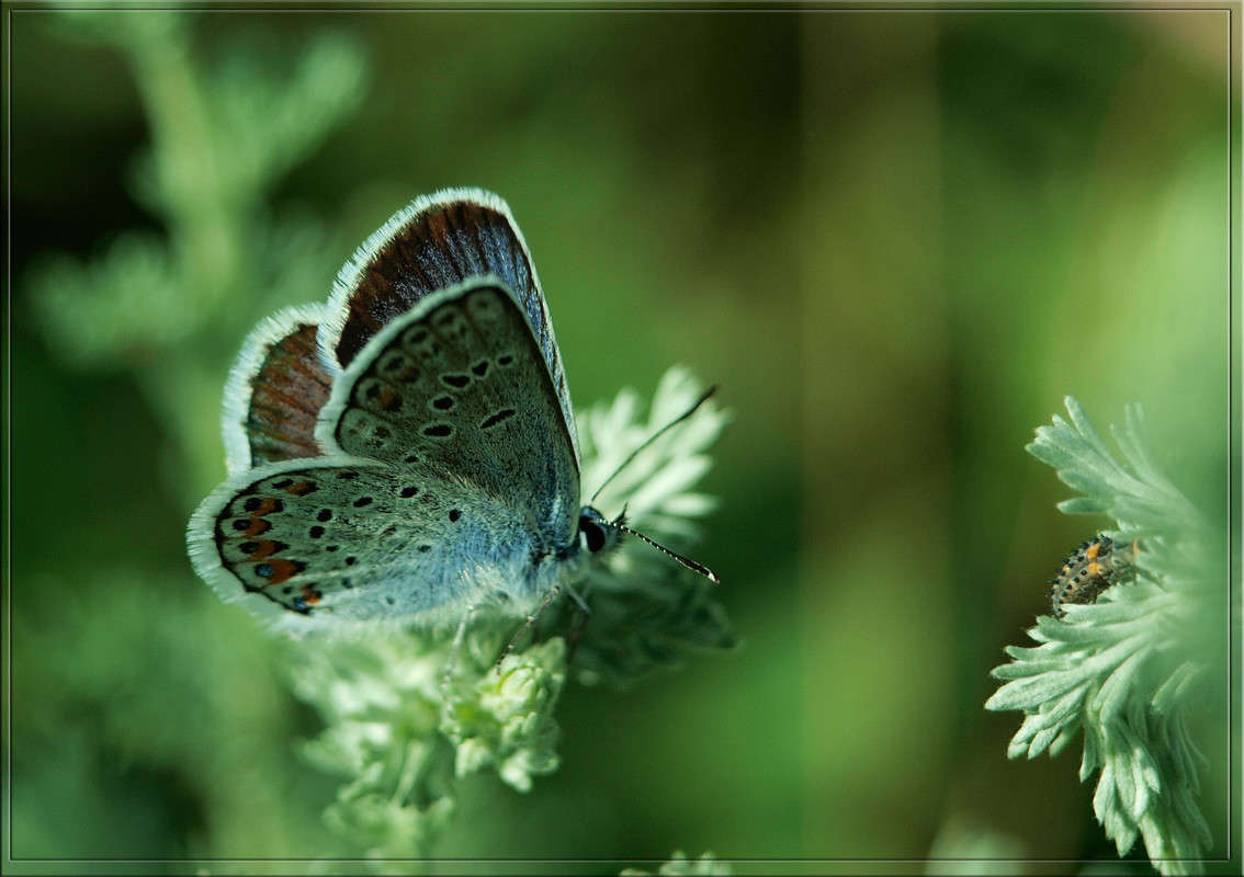 ... ����� ������  �� PhotoGeek.ru #�����