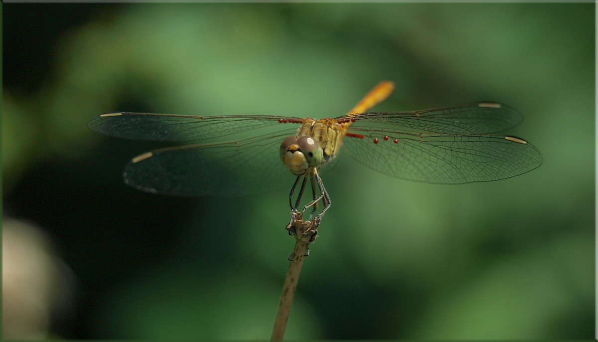 ���������� ����� ������  �� PhotoGeek.ru #�������� ���