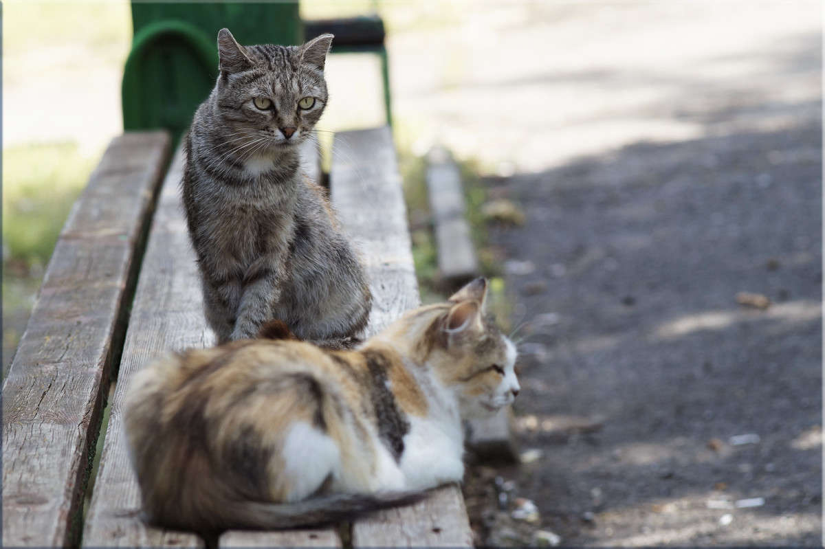 �� ������ ����� ������  �� PhotoGeek.ru #�������� ���