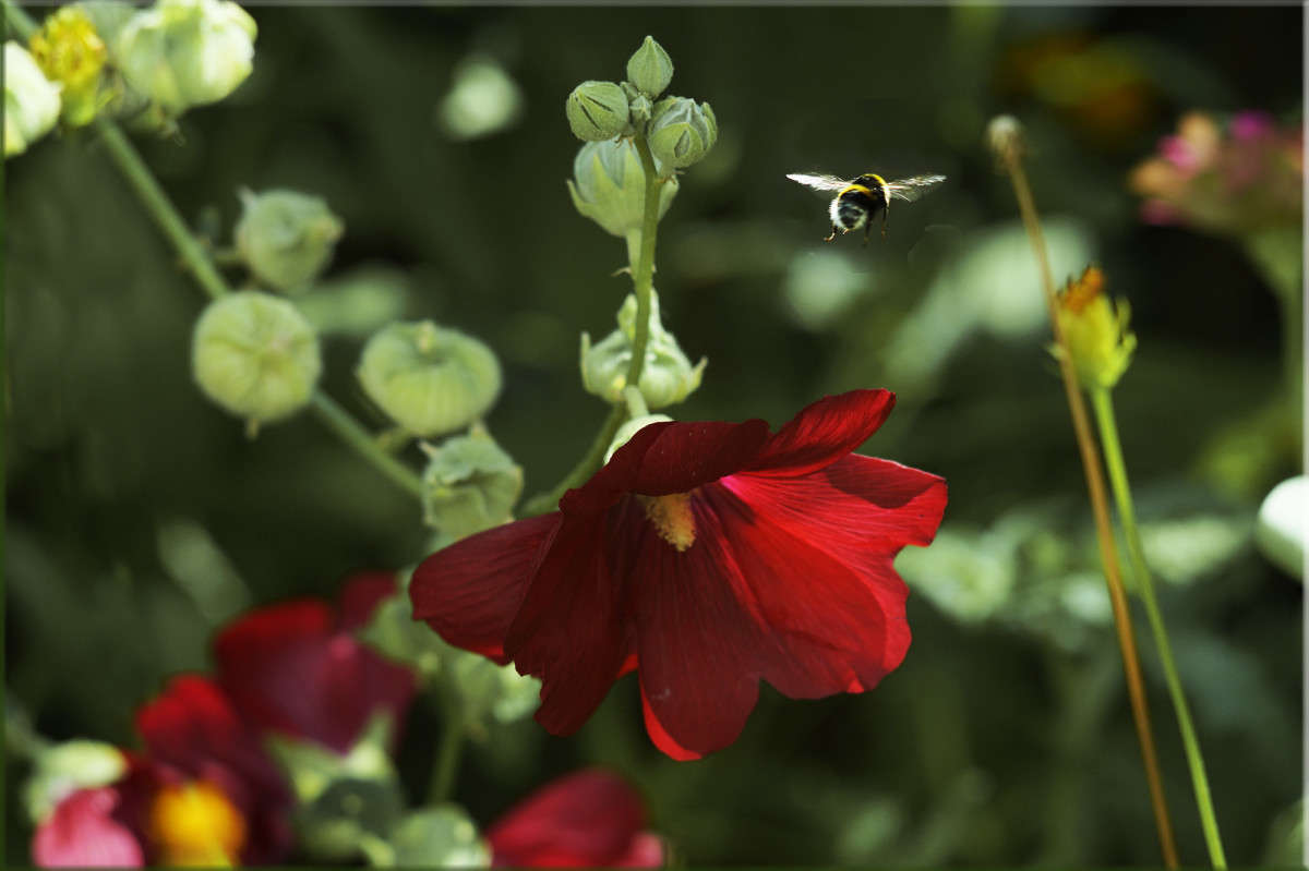 ��������� ����� ������  �� PhotoGeek.ru #������ ��� �������