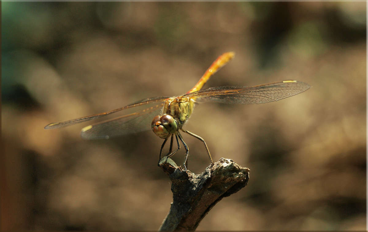 ���������� ����� ������  �� PhotoGeek.ru #�������� ���