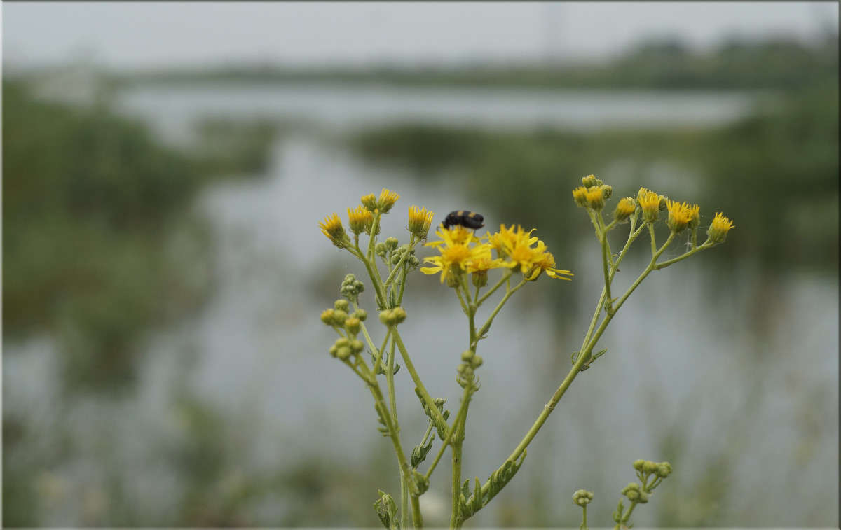 ��� �� ���������� ����� ������  �� PhotoGeek.ru #������ ��� �������