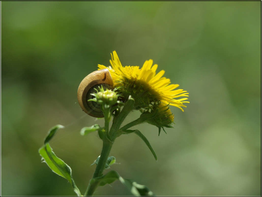 ������ � ����������� ����� ������  �� PhotoGeek.ru #������ ��� �������