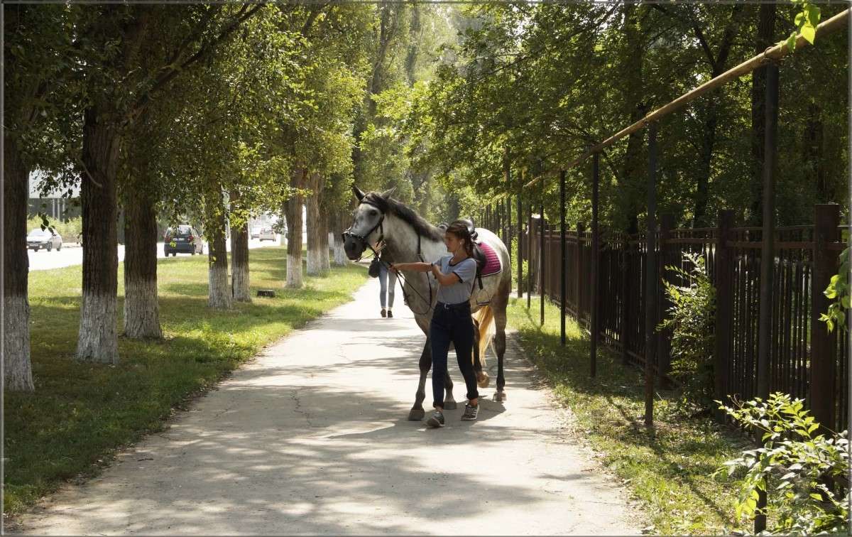 �� ����� ���� ������ ����� ������  �� PhotoGeek.ru #�����