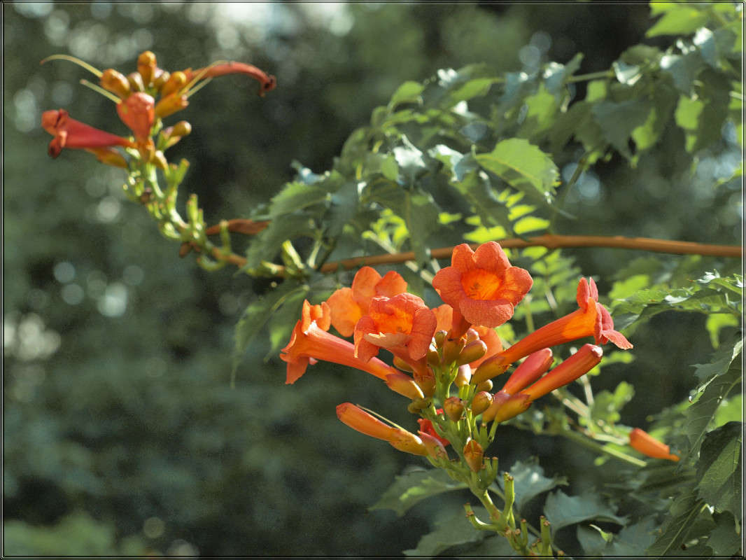 �� ��� ������� ����� ������  �� PhotoGeek.ru #������ ��� �������