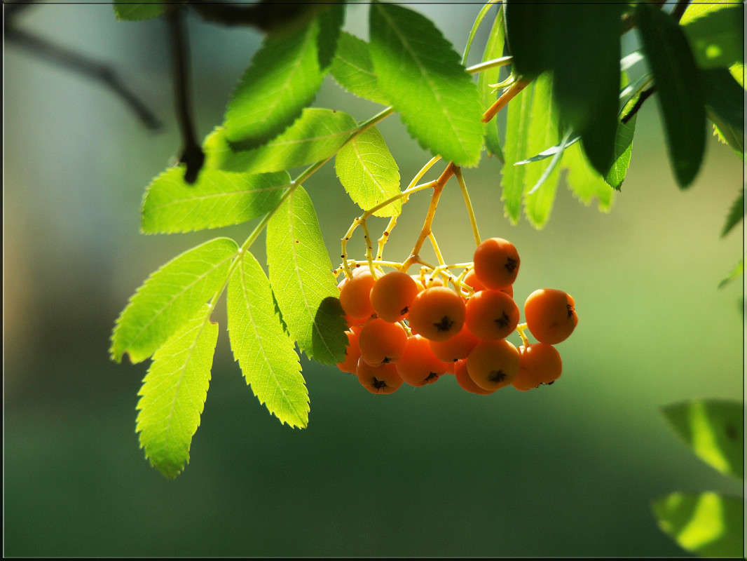 �� ����� ������ ����� ������  �� PhotoGeek.ru #������ ��� �������