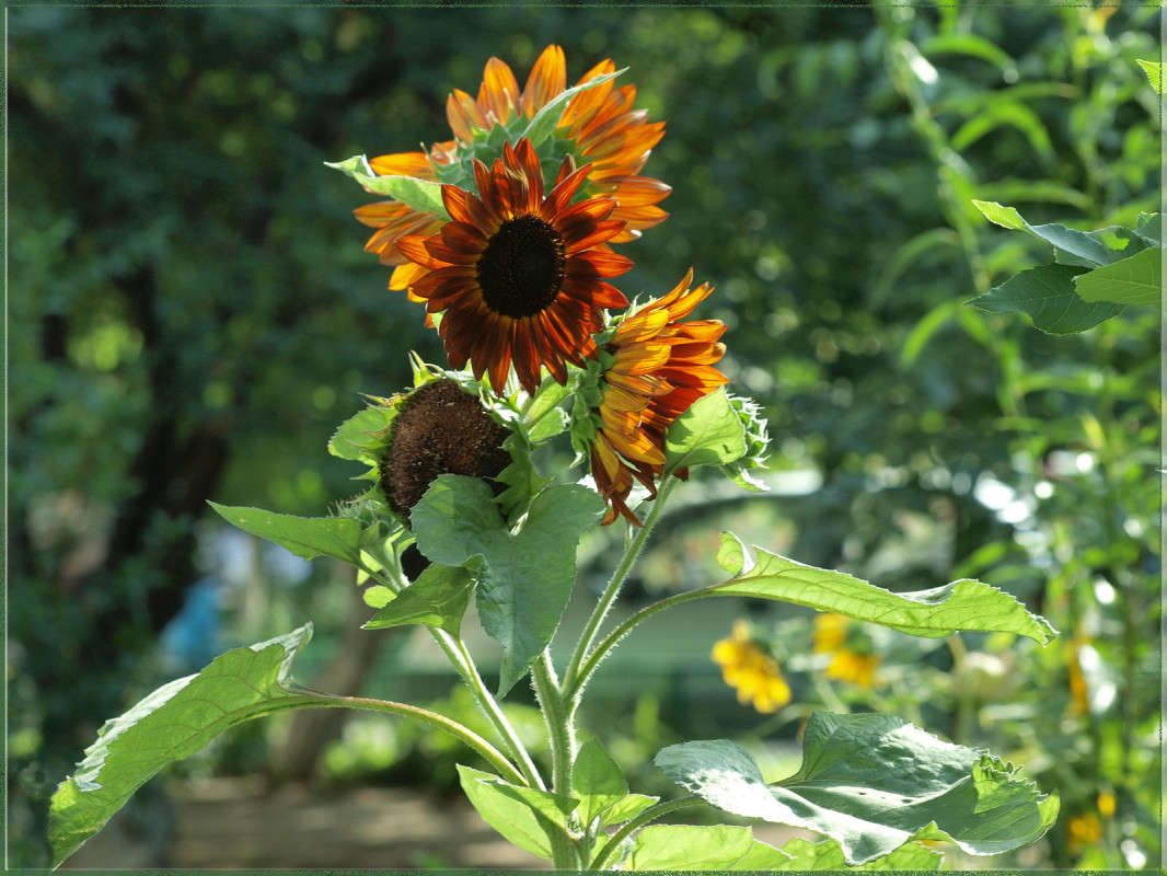 ������������ ����� ������  �� PhotoGeek.ru #������ ��� �������